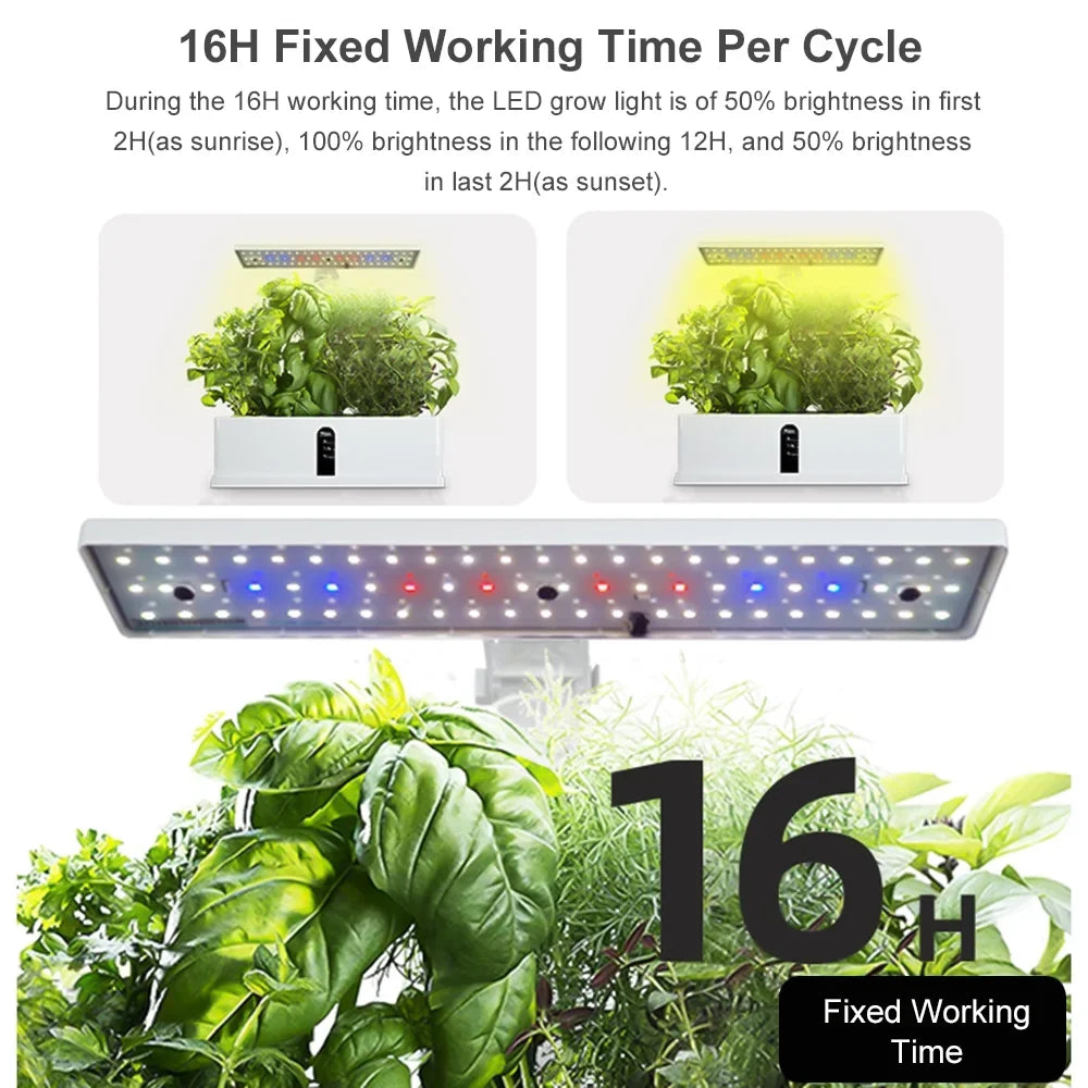 Kit Smart Tank Office Timing Height 15W Indoor Smart Hydroponics Automatic for System Pump Kitchen Grow Growing Pods Adjustable 2L Garden with Home 9