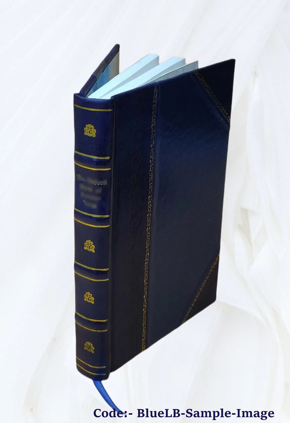 jure: De Spicilegia (3) Christophori pacis (2)De ac Besoldi sessionis rerumpublicarum ... [Leather Deque (4) 1624 item Bound] arcanis praecedentiâ, De legatis, politico-juridica :
