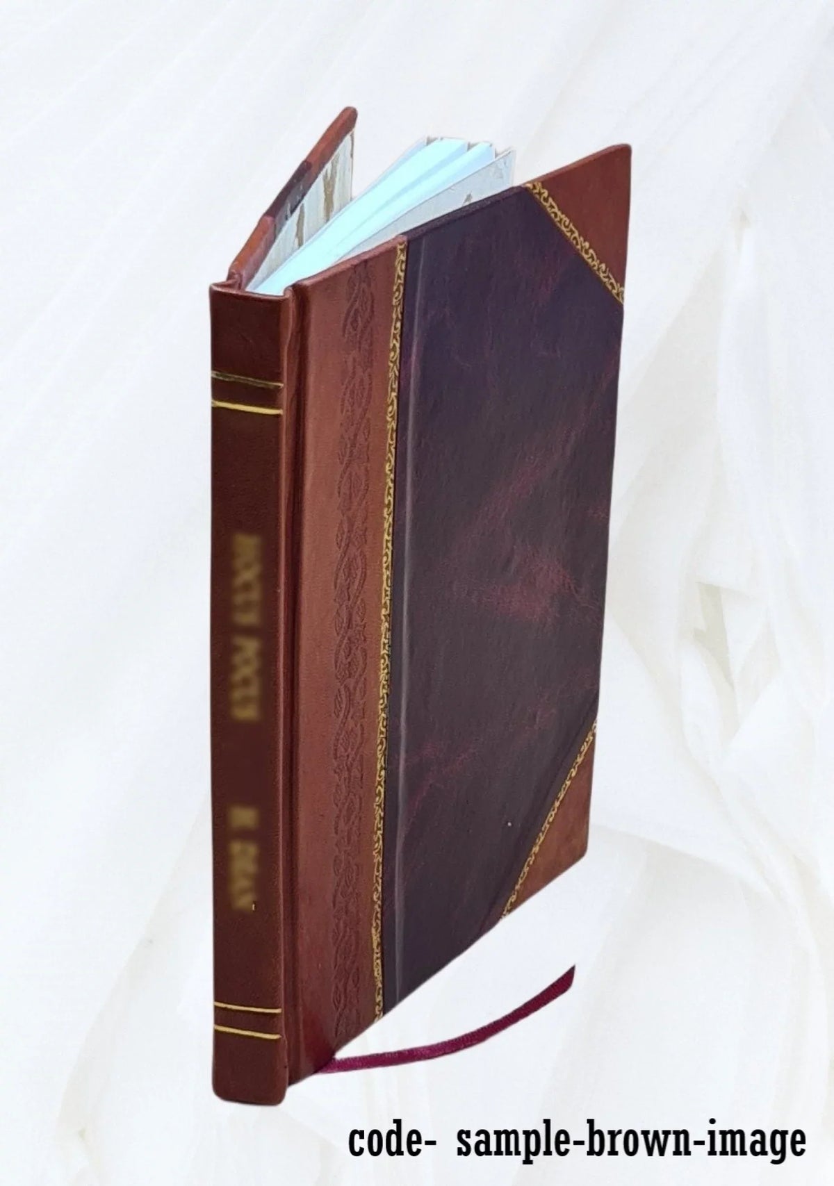 de par l'allemand de voyages Sidi-Aly, Relation écrite Bound] m. en turc, 1827 des tr. [Leather Moris
